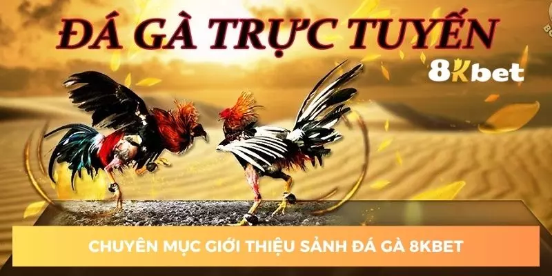 Chia sẻ giới thiệu của sảnh đá gà 8KBET